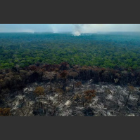 Pesquisa Quaest mostra que pressão contra flexibilização das regras ambientais influenciou vetos