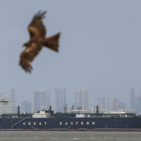 Iran war: World leaders respond to economic impact