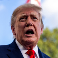 Special Episode: Decoding US midterms jargon