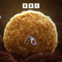 Cancer-causing gene found in donor sperm across Europe