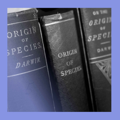 The Economist Radio (All audio)