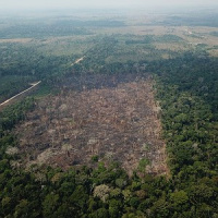 O governo Bolsonaro e o Sínodo da Amazônia