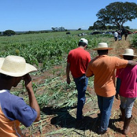 A regularização fundiária no governo Bolsonaro