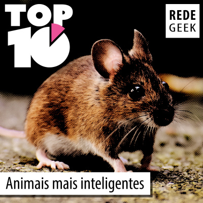 Rede Geek - Ultrageek