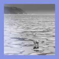 Ice, ice, maybe: should the Arctic be refrozen?