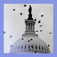 Shut happens: US federal funding stops