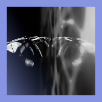 I, robot? AI and consciousness