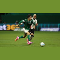 Palmeiras perde pela segunda vez no Brasileirão