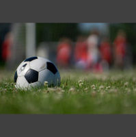 Qual é o PIB do Esporte? Relatório inédito revela o impacto econômico do setor