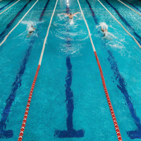 Por dentro do Mundial de Esportes Aquáticos 2025