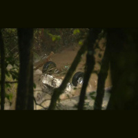 Temporal no RS deixa dois mortos e três desaparecidos