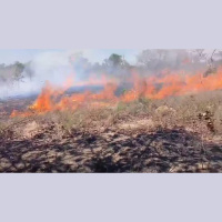 Força-tarefa combate incêndio de grandes proporções no Parque Nacional Grande Sertão Veredas