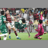 Quem será o primeiro tetra brasileiro da Libertadores: Palmeiras ou Flamengo?
