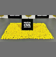 Droga conhecida como abacaxizinho se espalha por sete estados e preocupa autoridades