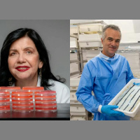 ‘Nós não fazemos ciência no Brasil, fazemos milagre’, diz pesquisadora que está na lista da Time