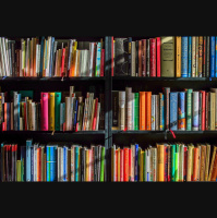 Exportações de livros brasileiros batem recorde no primeiro semestre do ano