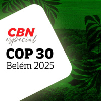 O papel dos bancos de desenvolvimento no financiamento climático