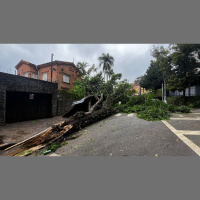 Inmet emite alerta para vendavais com rajadas de até 100 km/h em São Paulo e no Rio