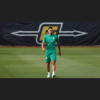 Paulinho e Allan do Palmeiras são punidos pelo STJD