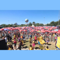 Blocos agitam ruas das capitais do país no pré-Carnaval