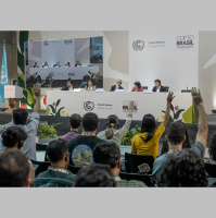 Quais metas determinadas na COP30 estão em vigor? Assunto será debatido em reunião, explica especialista