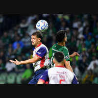 Após classificação na Libertadores, Palmeiras busca retomar vitórias para se afastar do Flamengo