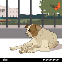 #134: Sem vacina, sem Trump, sem nada