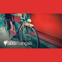 SBS French : Le LIVE du 29/11/2025