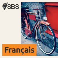 SBS French: le LIVE du 11 juillet 2026