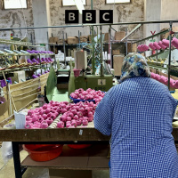 Is Turkeys clothing industry unravelling at the seams?