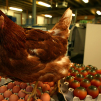 Brexit Watch: Trade Wars