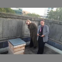 Holy Bees: St Pancras church in Euston has a harvest hive on the top of the roof!