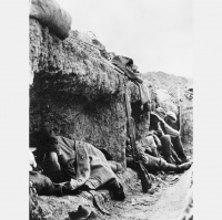 Remembering Gallipoli...they saw themselves as part of a bigger thing...