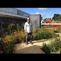 A garden inspired by the #Tottenham #Riots at the #RHS Hampton Court Flower Show. @annareporting meets @dsheadesign