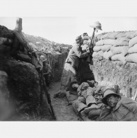 Gallipoli Anniversary: There will be pride but more, a sense of loss...