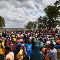 4 de Novembro de 2025 - Jornal da Manhã