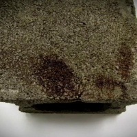 State v. Joseph Webster - Episode 3– Maybe