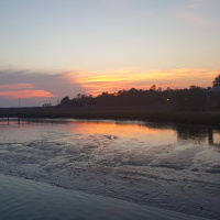 S3, The State v. Dennis Perry - Addendum 19 – A Good Hitman is Hard to Find