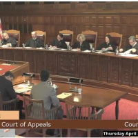 Bonus Episode – Proving Innocence After Pleading Guilty