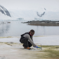 Who owns Antarctica?