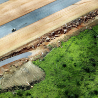 Brazils complex relationship with illegal deforestation