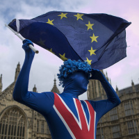 Figuring out Theresa Mays Brexit plan