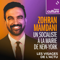 Zohran Mamdani, un socialiste à la mairie de New York 2/4 : Son entrée en politique : un démocrate nouvelle génération