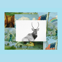 OTM Presents - The Experiment: The Loophole