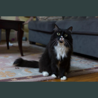 10 Things That Scare Jeff VandeMeer