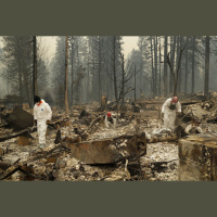 The Stories Fires Tell