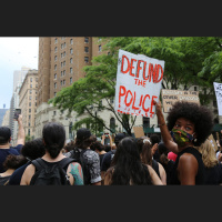 Defund the Police revisited