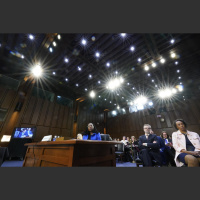 All the Worlds a Stage