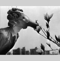 How The Environment Got Political