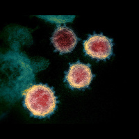 New Variant on the Block